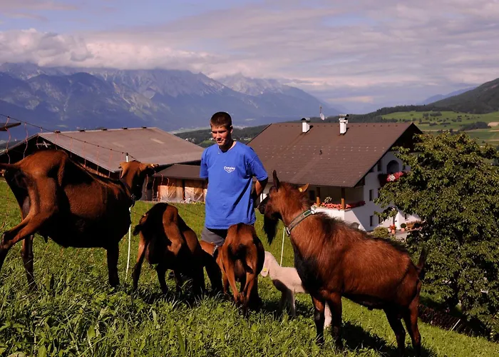 Farm stay Hoarachhof *