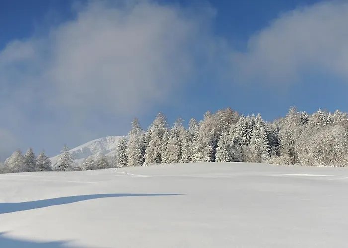 Farm stay Hoarachhof Innsbruck