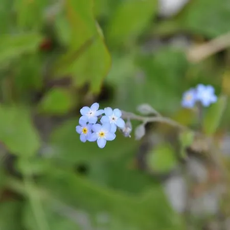 Hoarachhof Κατάλυμα σε φάρμα *