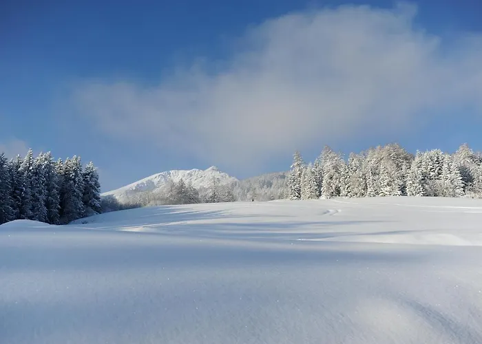 팜스테이 Hoarachhof